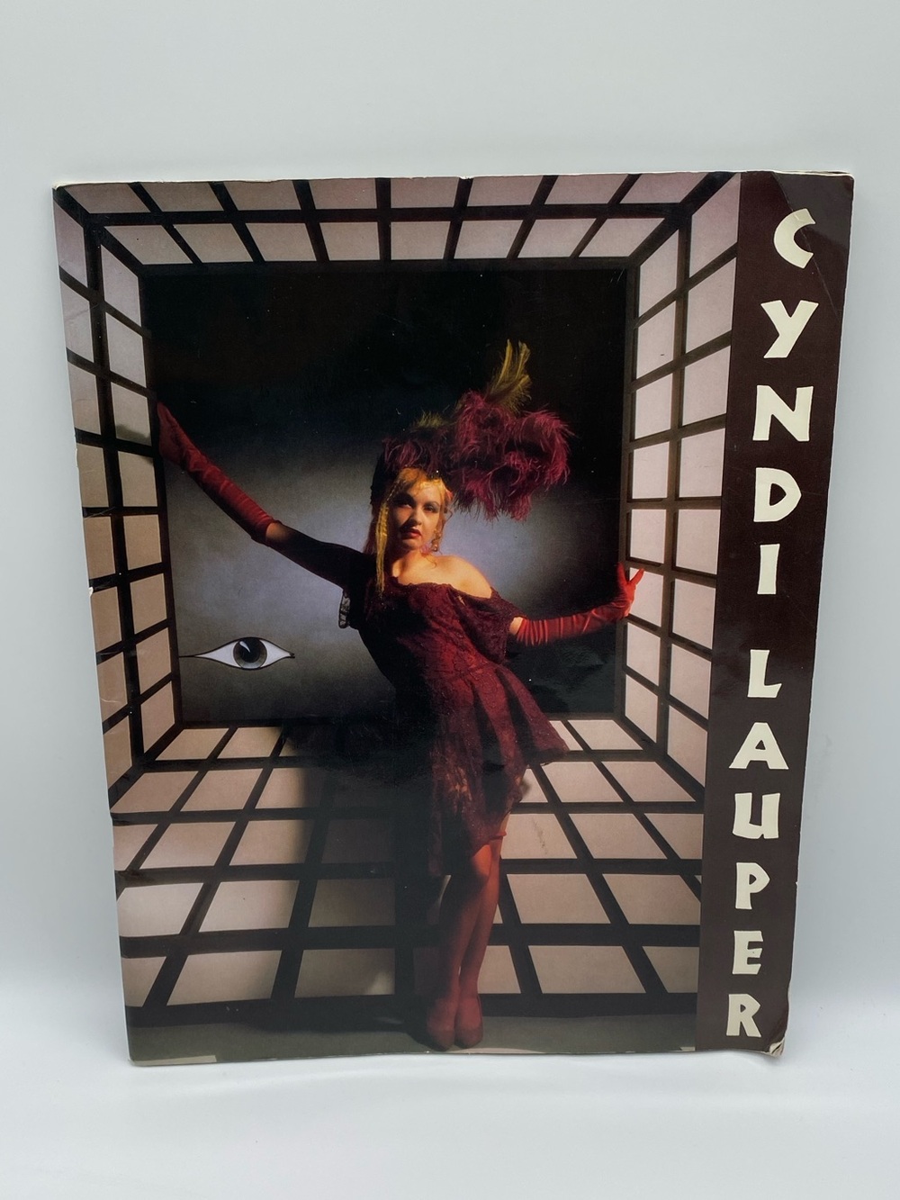 Cyndi Lauper TRUE COLORS World Tour Memorabilia/ Concert Book 1986-1987